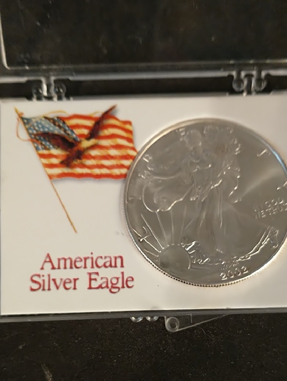 2002 American Silver Eagle Coin & walking lady in protective case